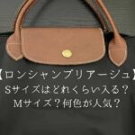 ロンシャンプリアージュ！Sサイズはどれくらい入る？Mサイズ？何色が人気？迷う･･･